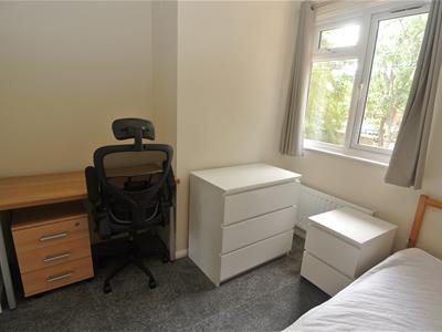 Picture 14